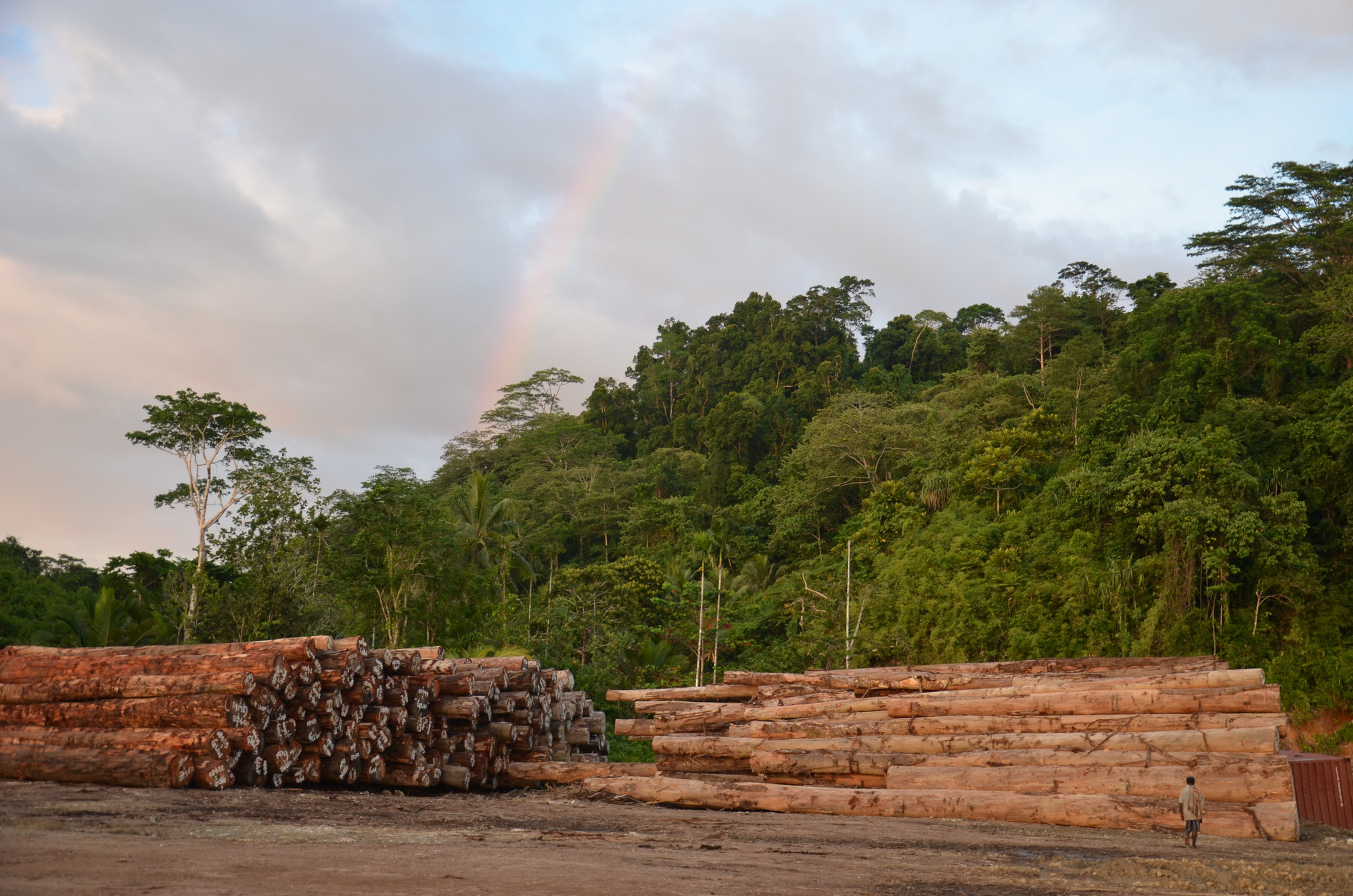 global-finance-enabling-destruction-of-papua-new-guinea-rain-forests