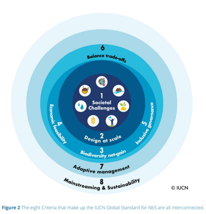 IUCN Unveils Global Standards For Nature Based Solutions